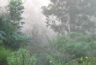 Kagarulandscaping-irrigation-4.jpg; ?>